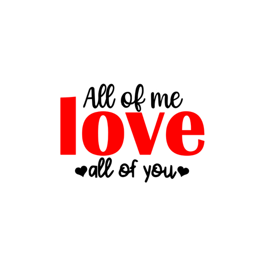 Valentine’s and Galentine’s Day Stickers